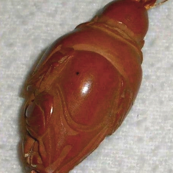 Antique EDO Era Japanese Carved Inro Box Netsuke & ID Value Guide Book RARE Set - Picture 10 of 12